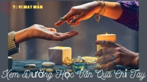 Xem Đường Học Vấn Qua Chỉ Tay