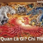 Huyền Quan Là Gì? Chi Tiết Nhất