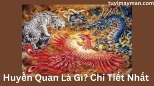 Huyền Quan Là Gì? Chi Tiết Nhất