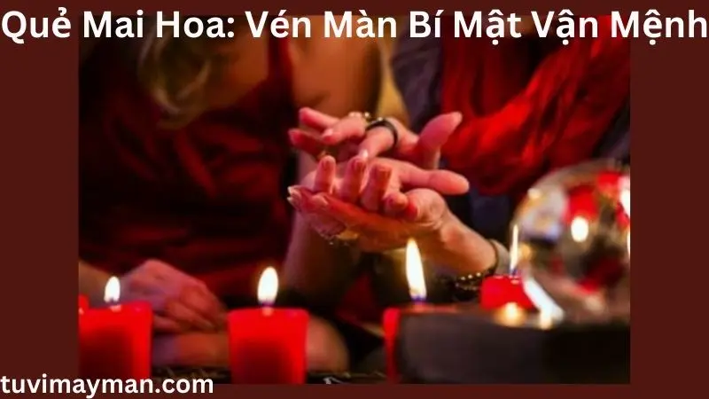 Quẻ Mai Hoa Là Gì? Định Nghĩa, Cách Lập Quẻ