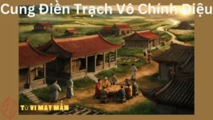 Cung Điền Trạch Vô Chính Diệu