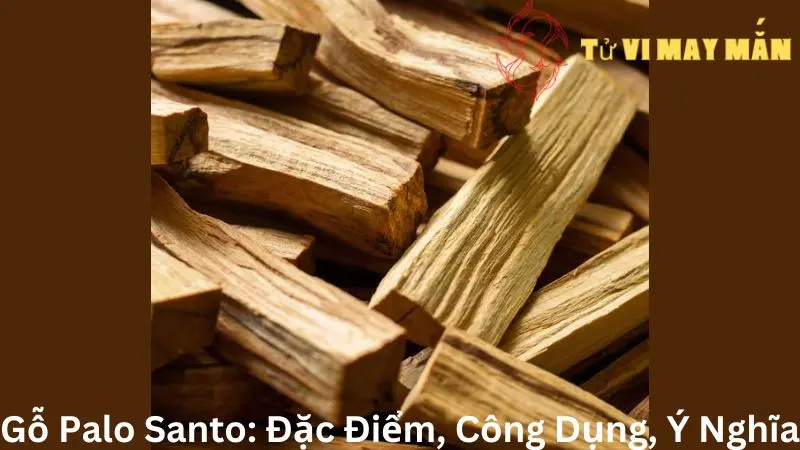 Gỗ Palo Santo: Đặc Điểm, Công Dụng, Ý Nghĩa