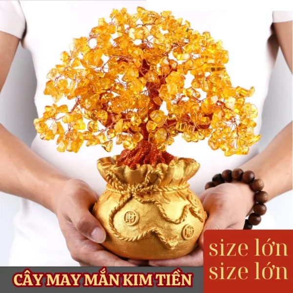 🌿 Cây Kim Tiền MYD.23 - Tài Lộc Phong Thủy, May Mắn Với Đá Thạch Anh Phát Tài 🌿